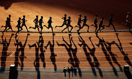 我们不妨回 我们不妨回